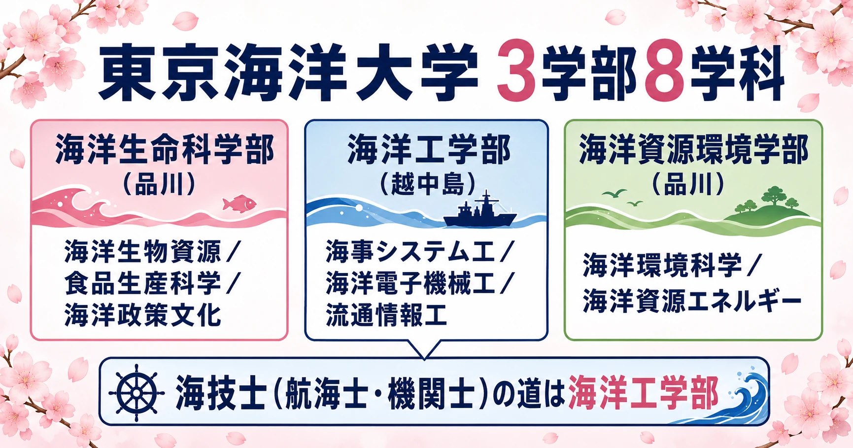 東京海洋大学 3学部8学科の全体像。海洋生命科学部(海洋生物資源/食品生産科学/海洋政策文化・品川)、海洋工学部(海事システム工/海洋電子機械工/流通情報工・越中島)、海洋資源環境学部(海洋環境科学/海洋資源エネルギー・品川)を、桜モチーフで図解。海技士ルートは海洋工学部にあることが一目で分かるように