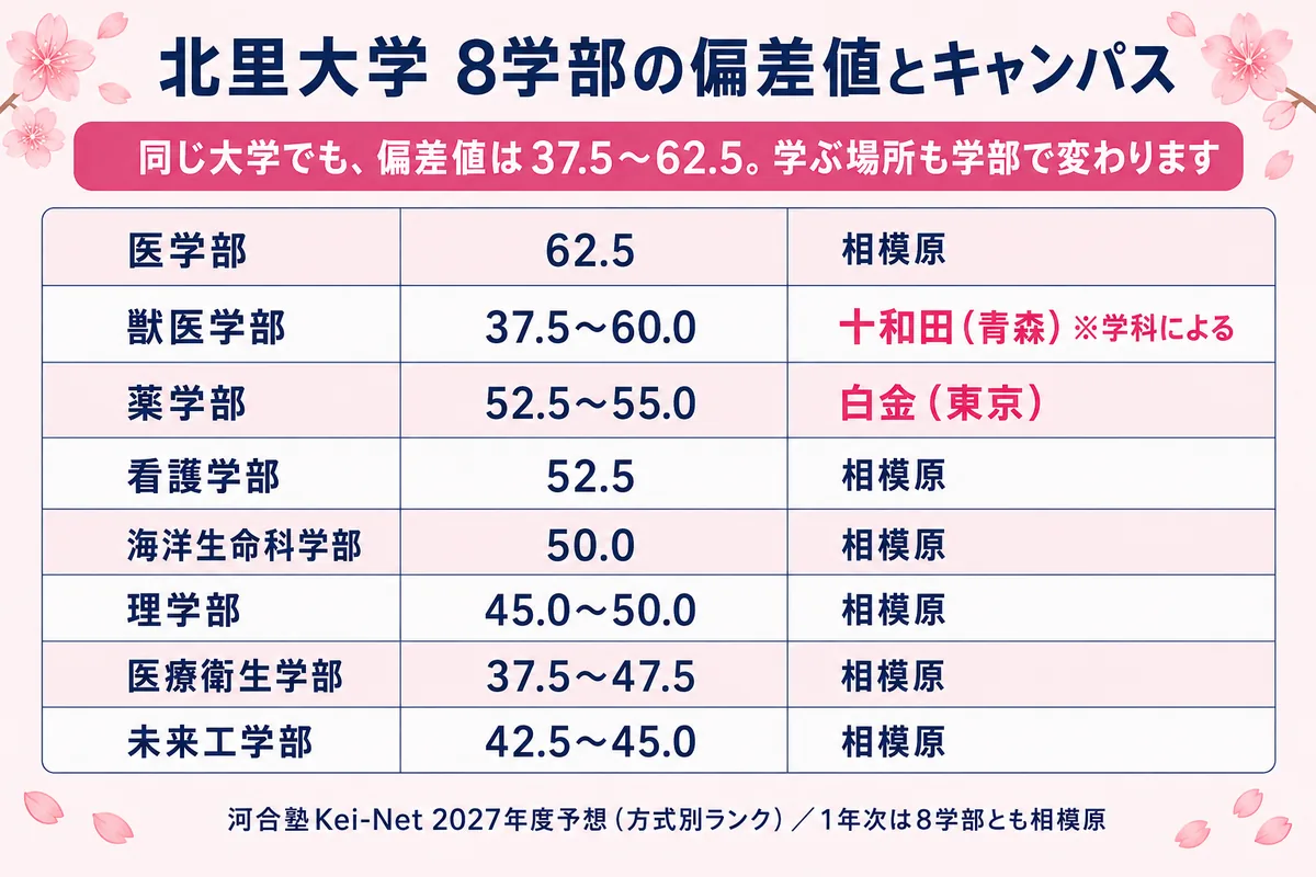 北里 大学 医学部 偏差 値
